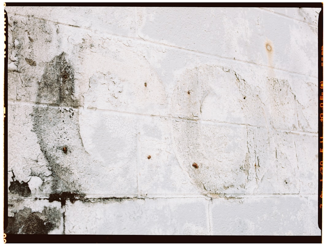 Mold Remediation service in Brownsville, TX