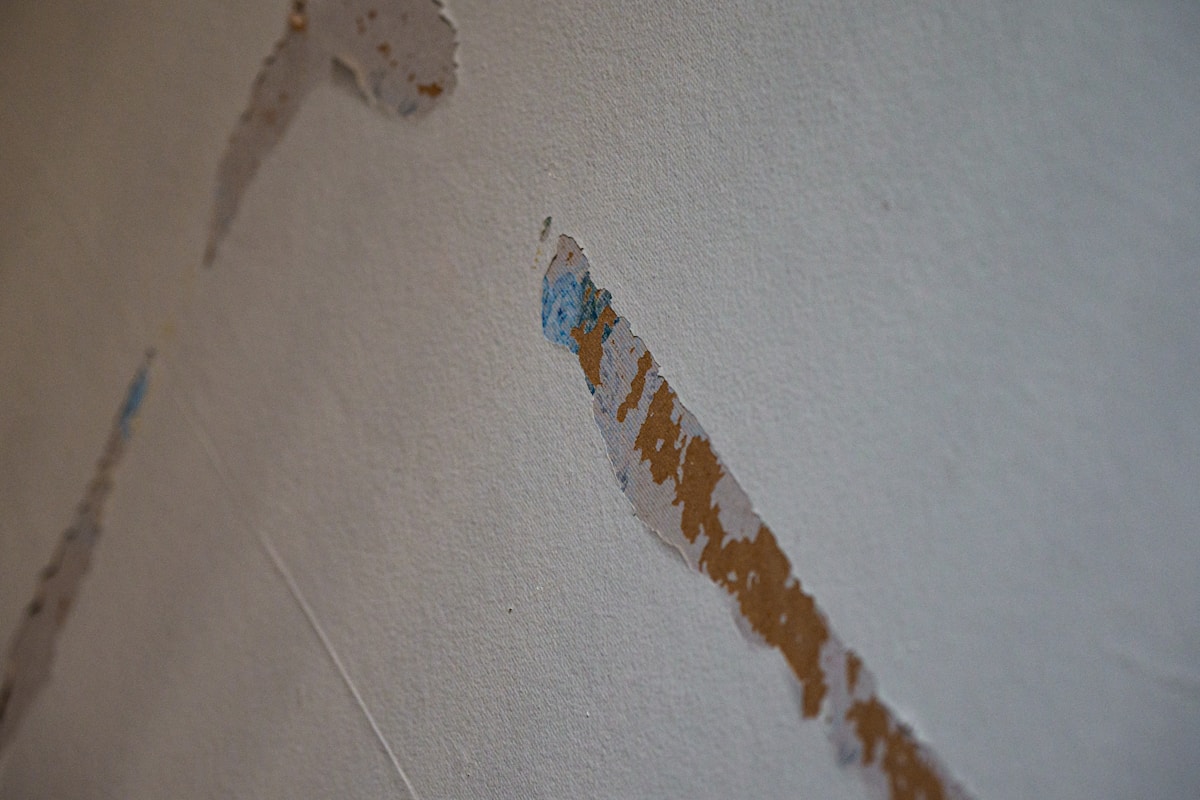 Basement Water Removal service in Brownsville, TX