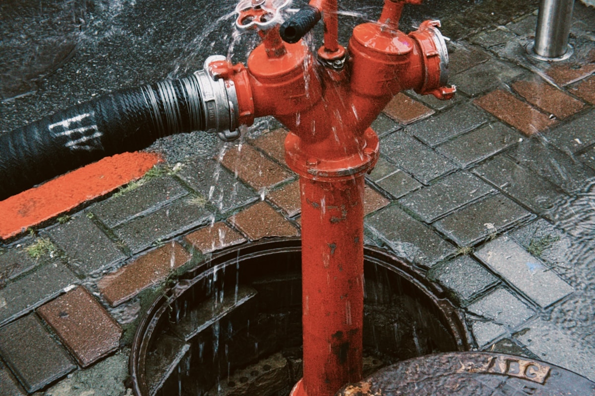 Commercial water damage restoration in Brownsville